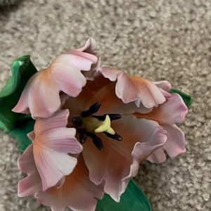 Lenox parrot tulip